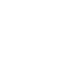 icon of arrow hitting center of bullseye