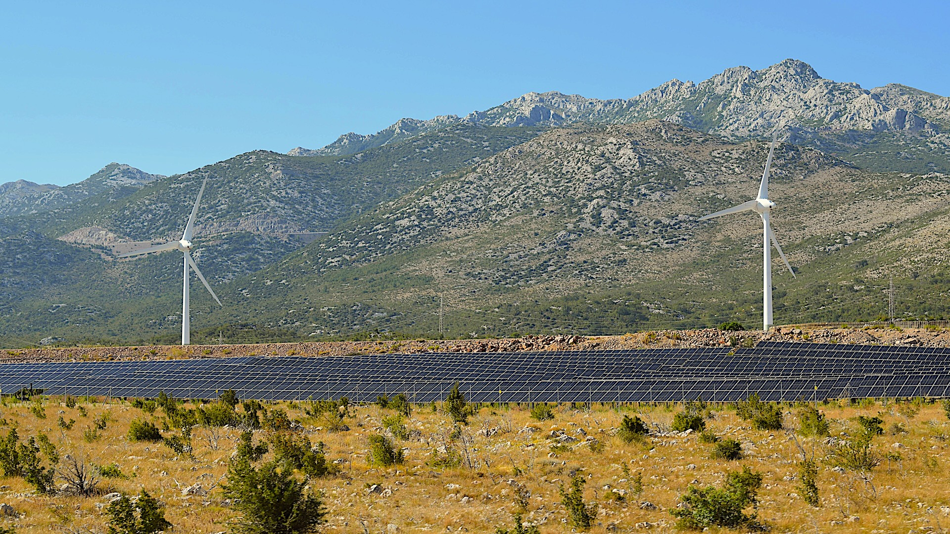 solar panes and wind turbines