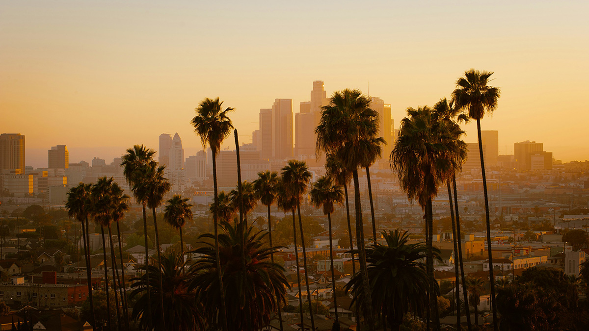 Los Angeles skyline at sunset with palm trees