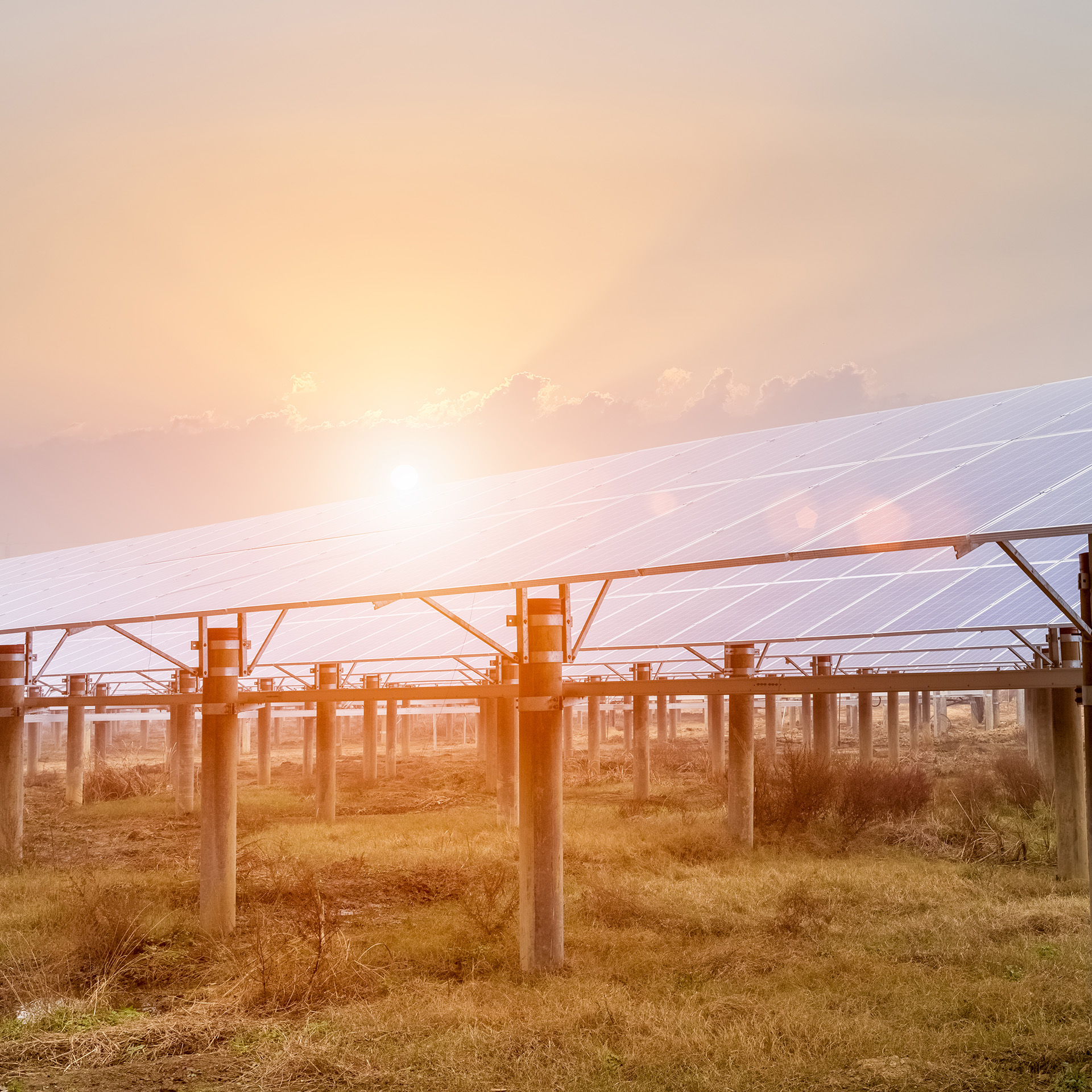 Sun glints off rows of solar panels during a hazy sunset