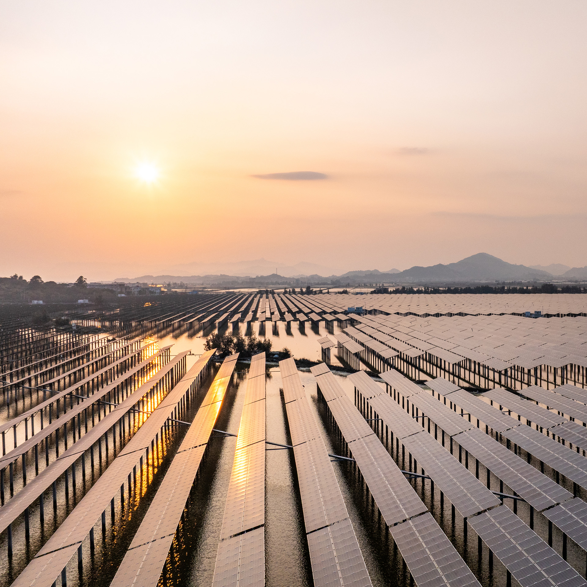 The sun low in the hazy sky glints off rows of solar panels