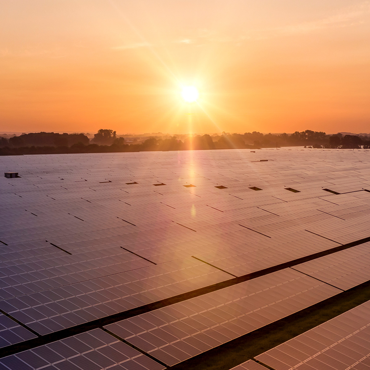 An orange sunset low in the sky reflects off rows of dark, midnight blue solar panels