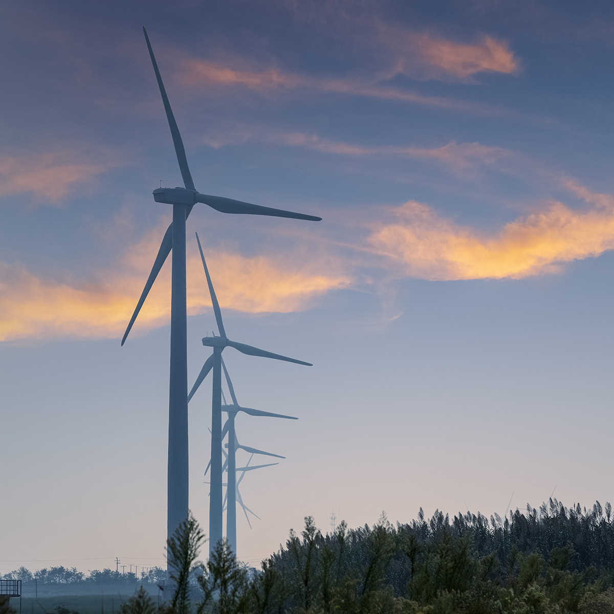 Wind turbines tower over a forest at dusk