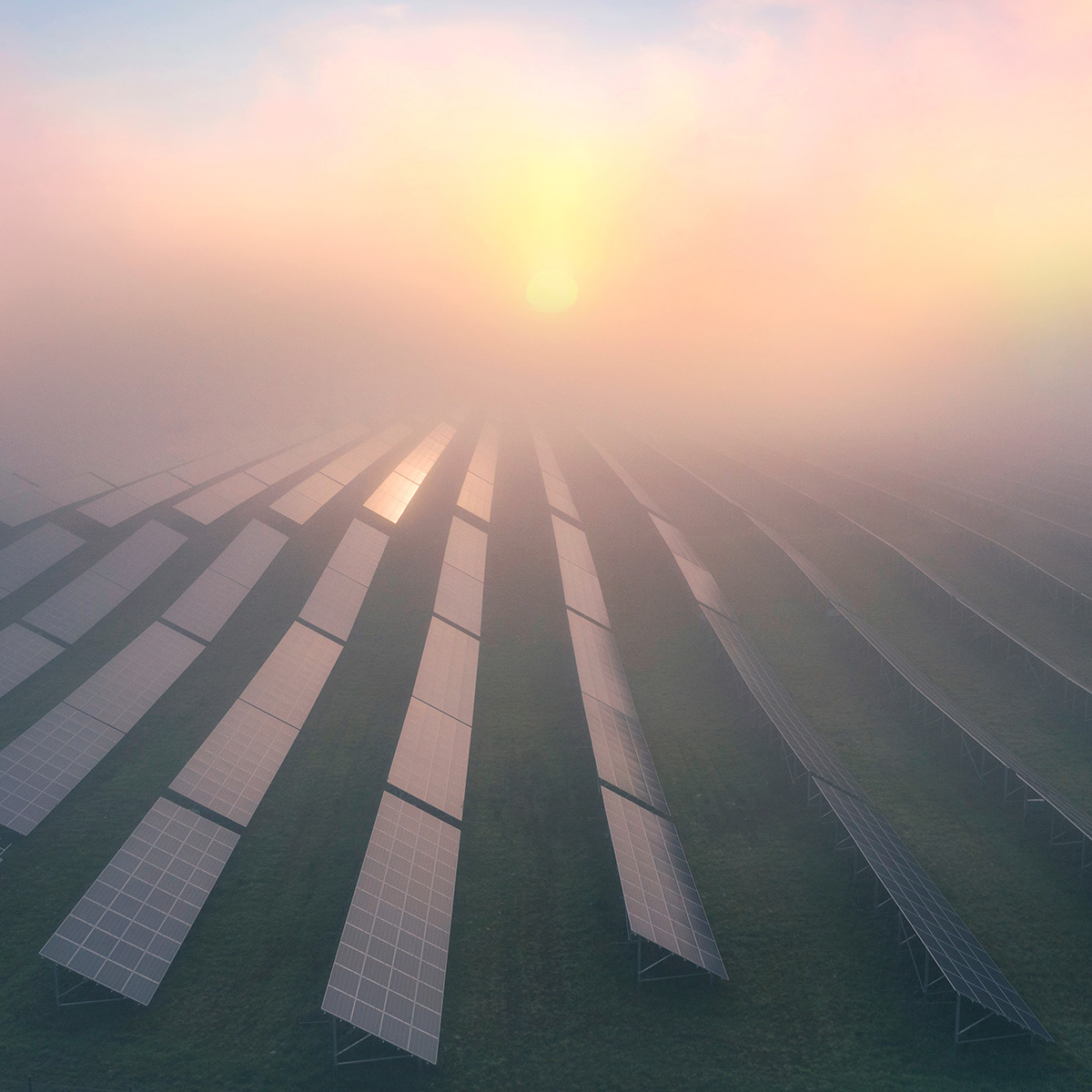 A solar farm obscured by morning fog