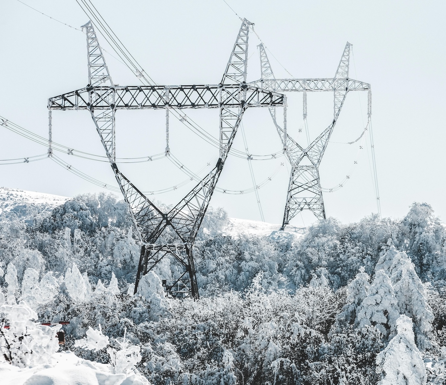 Snow covered transmission tower and lines in snow covered trees